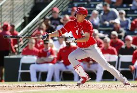Baseball: Angels v Reds