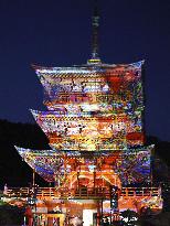 Digital art on western Japan temple