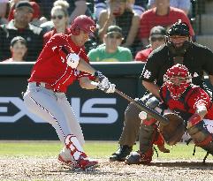 Baseball: Angels v Reds