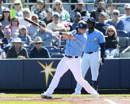 Baseball: MLB spring training