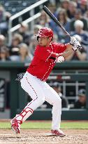 Baseball: Cincinnati Reds v Chicago White Sox