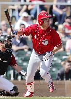 Baseball: MLB spring training