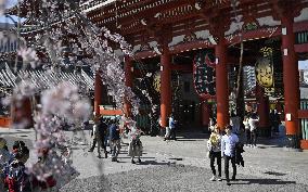 Foreign visitors to Japan drop 58% over coronavirus