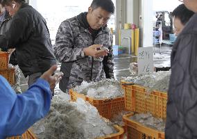 Whitebait landed at Osaka port