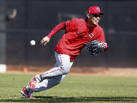 Baseball: MLB spring training