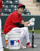 Baseball: MLB spring training
