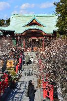 Kameido Tenjin shrine in Tokyo