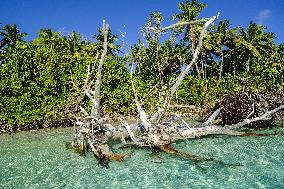 Scenes from Tuvalu