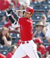 Baseball: MLB spring training