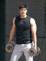 Baseball: MLB spring training