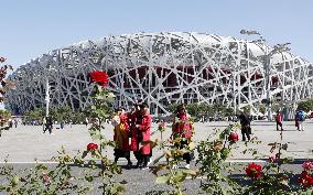 Bird's Nest in Beijing