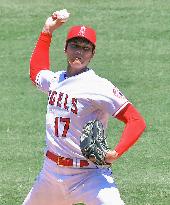 Baseball: Ohtani could be done pitching in 2020 with forearm injury