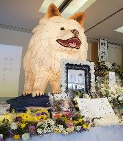 Gathering in memory of Akita dog Wasao