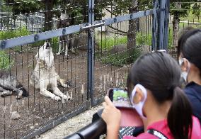 Night viewing at northern Japan zoo