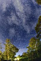 Perseid meteor shower