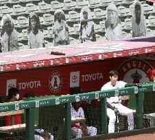 100th anniversary of Negro leagues