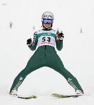 Ski jumping: Norway's Lundby wins World Cup meet in Sapporo