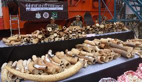 Thailand destroys 2 tons of ivory in "zero tolerance" demonstration