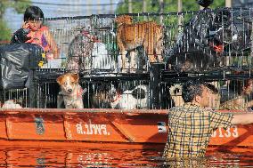 Flooding in Thailand