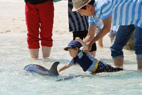 Aquarium allows visitors to play with dolphins