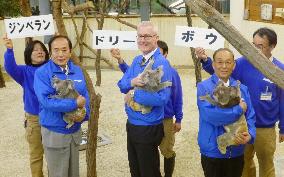 3 koalas donated by Queensland to Saitama zoo