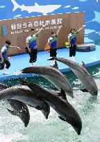 Dolphin show at new aquarium in northeastern Japan