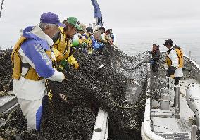 Fishermen haul net off Shiretoko Peninsula