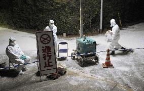 Bird flu in Kagoshima Pref.