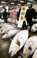 First fish auction of 2005 held at Tsukiji market