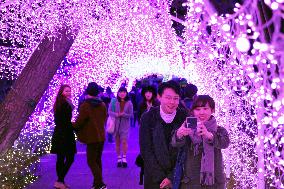Enoshima lit up with winter illuminations