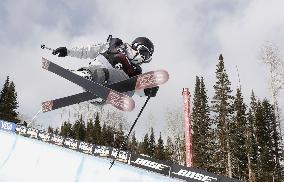 Freestyle skiing World Cup