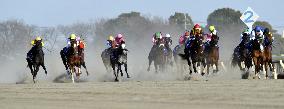 Horse racing: February Stakes in Japan