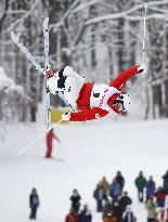 Horishima wins gold in men's mogul