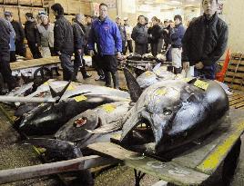 Tuna fetches record 32 mil. yen at Tokyo auction