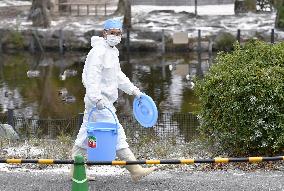 Bird flu infections confirmed at Nagoya zoo