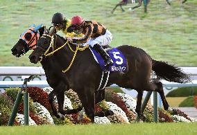 Horse racing: Mozu Katchan captures Queen Elizabeth II Cup