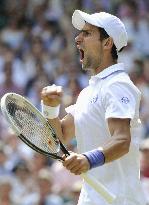 Djokovic wins first Wimbledon title