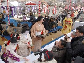 Plum blossom festival in Kyoto's Kitano Tenman-gu shrine