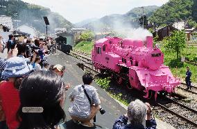 Pink steam locomotive displayed in Tottori Pref.