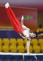Gymnastics: Kohei Uchimura at world championships