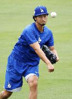 Baseball: Darvish scheduled World Series Game 7 starter