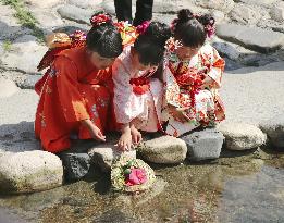 CORRECTED: Traditional "Nagashi-bina" event in Japan
