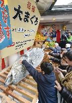 Worshippers press coins into tuna for good financial luck