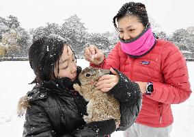 Snow in central Japan