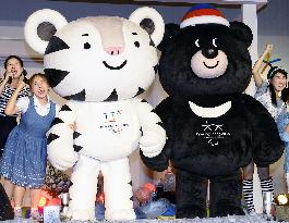 2 mascots of Pyeongchang Winter Games