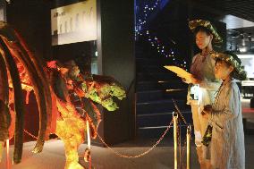 Night museum program in Japan