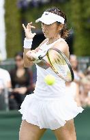 Japan's Doi eliminated in Wimbledon 1st round