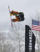 Snowboarding World Cup