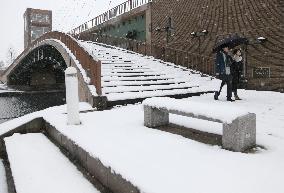 Heavy snow in Japan