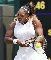 Tennis: Wimbledon championships